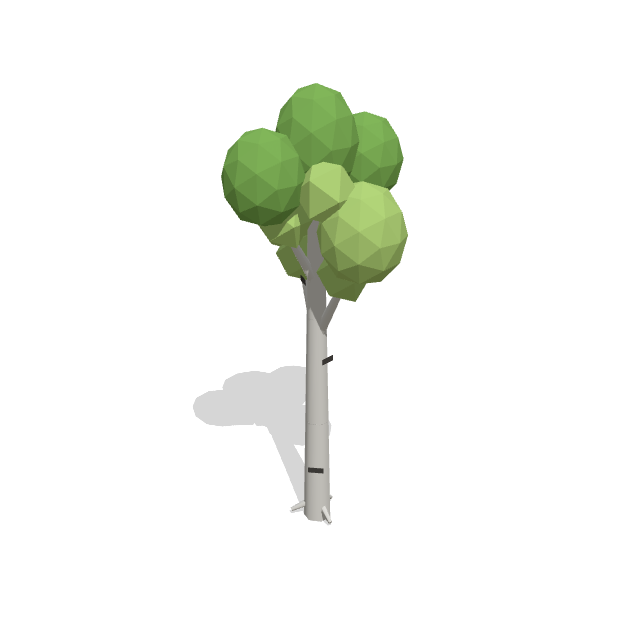 Silver Birch low-poly 3D model preview